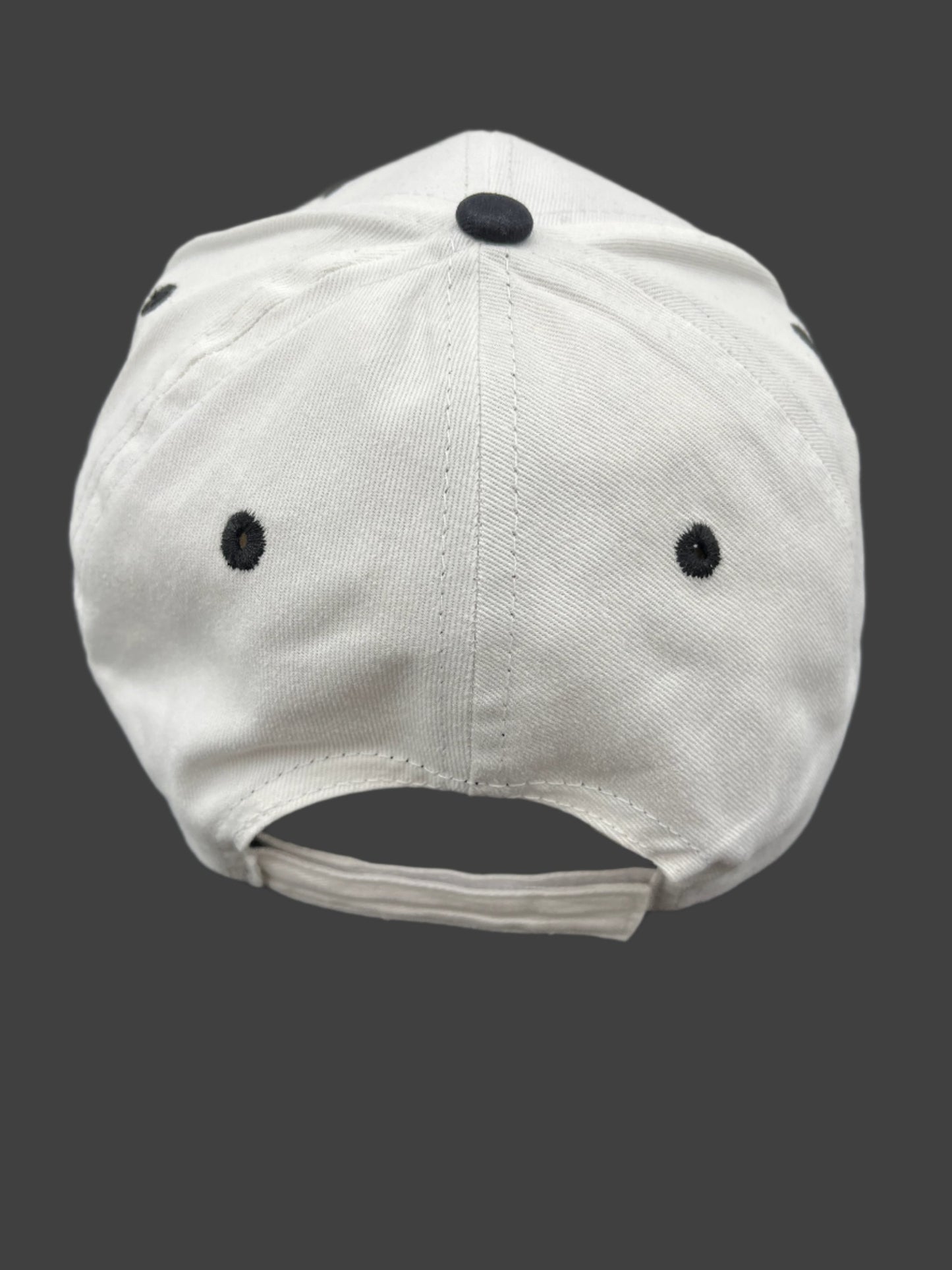 RHODE ISLAND COMIC CON BASEBALL HAT (VARIOUS OPTIONS)